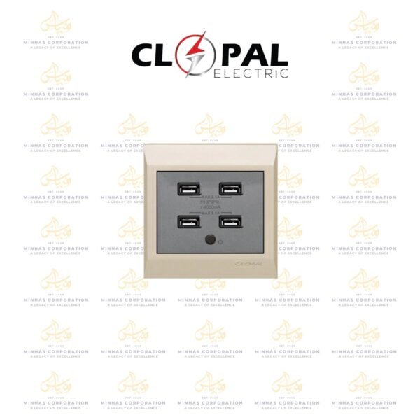 Clopal Golden Metallic USB4 Socket