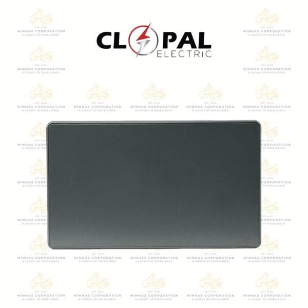Clopal Platinum Blank Plate Big