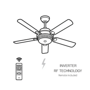 Ravian 30W Inverter