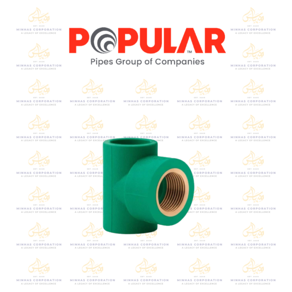 Popular PPR-100 Tee Female Threaded