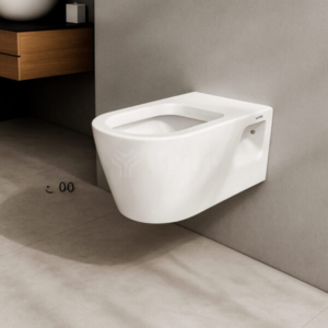 Wall Hung Toilet