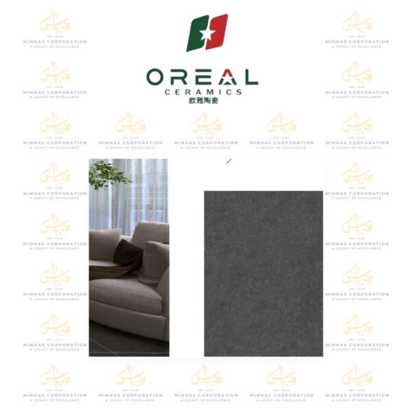 ORM66004