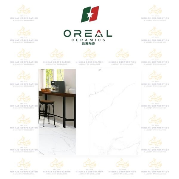 ORM66041
